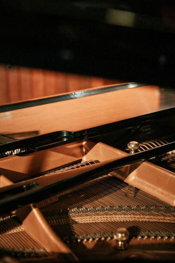 Gallery - Wauchope Arts